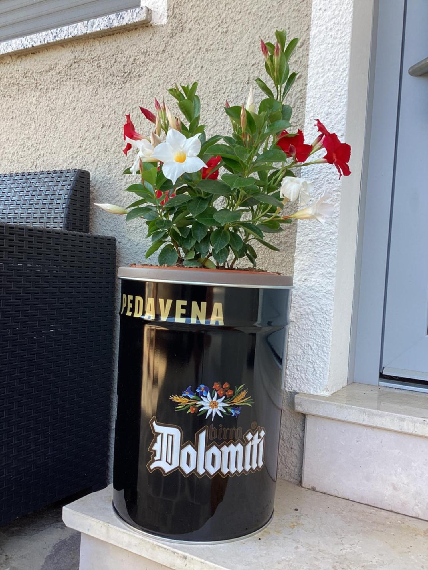 Ferienwohnung La Stella Delle Dolomiti Pedavena Exterior foto